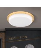 LEROX LED mennyezeti lámpa, 30 cm, arany