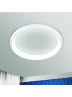 VENUS LED mennyezeti lámpa, 61 cm