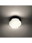 ROKS  kültéri LED  mennyezeti lámpa antracit IP54 12W/3000K