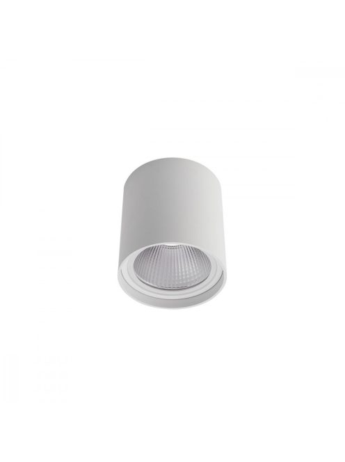 XIXO  kültéri LED  spot lámpa matt fehér IP54 20W/4000K