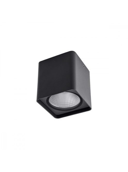 XIXO  kültéri LED  spot lámpa sötétszűrke IP54 20W/4000K