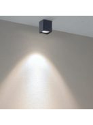 XIXO  kültéri LED  spot lámpa sötétszűrke IP54 20W/4000K