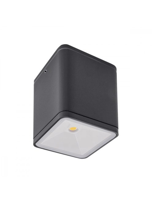 BOTA  kültéri LED  mennyezeti lámpa antracit IP54 6W/4000K