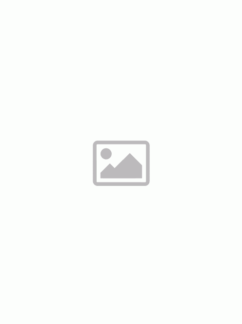 Tirol kültéri fali lámpa, rozsda 10493